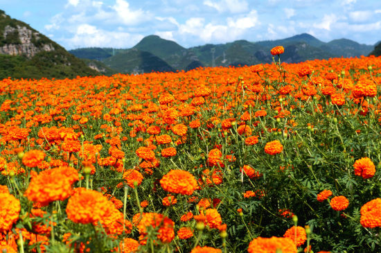 上海汽車南站到湖州的汽車時刻表是怎樣的？最
